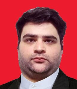 Picture of حامد سرلکی